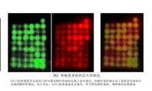 基于靶向分子探针的肿瘤精准给药筛查技术的产业化